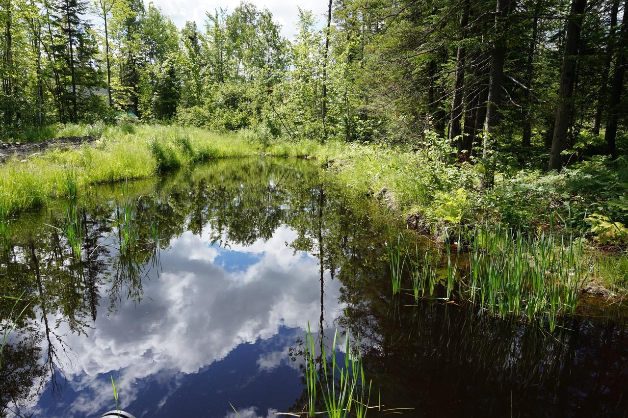 Gite L'Antre D'Eux Sherbrooke Exterior foto